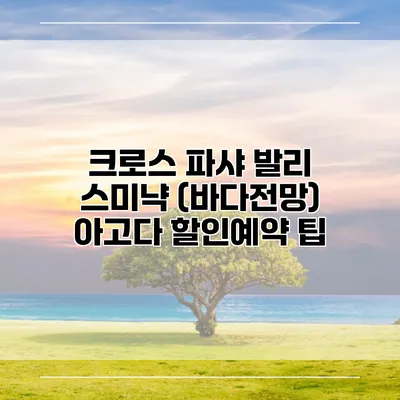 크로스 파샤 발리 스미냑 (바다전망) 아고다 할인예약 팁