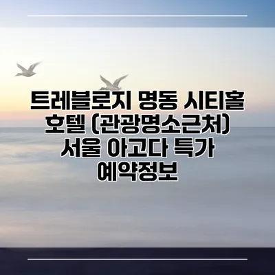 트레블로지 명동 시티홀 호텔 (관광명소근처) 서울 아고다 특가 예약정보