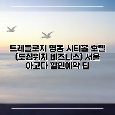트레블로지 명동 시티홀 호텔 (도심위치 비즈니스) 서울 아고다 할인예약 팁