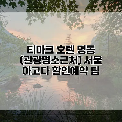 티마크 호텔 명동 (관광명소근처) 서울 아고다 할인예약 팁