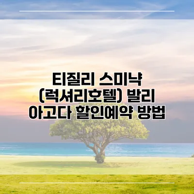 티질리 스미냑 (럭셔리호텔) 발리 아고다 할인예약 방법