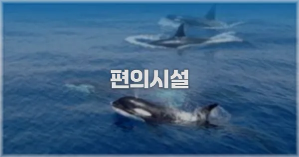🛎️ 편의시설