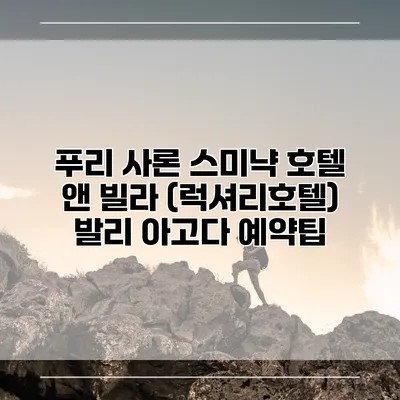 푸리 사론 스미냑 호텔 앤 빌라 (럭셔리호텔) 발리 아고다 예약팁