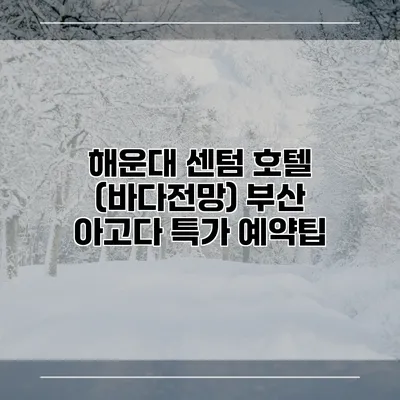 해운대 센텀 호텔 (바다전망) 부산 아고다 특가 예약팁