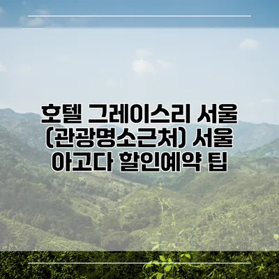 호텔 그레이스리 서울 (관광명소근처) 서울 아고다 할인예약 팁
