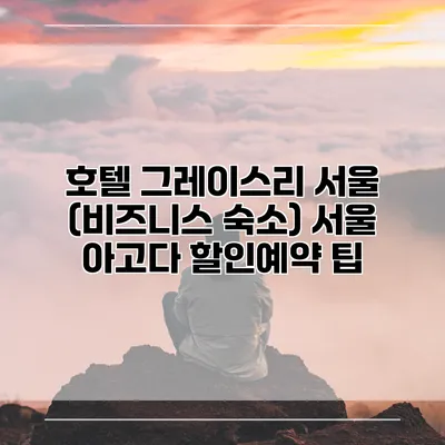 호텔 그레이스리 서울 (비즈니스 숙소) 서울 아고다 할인예약 팁