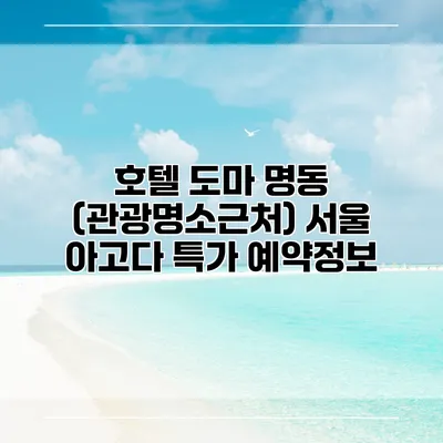 호텔 도마 명동 (관광명소근처) 서울 아고다 특가 예약정보