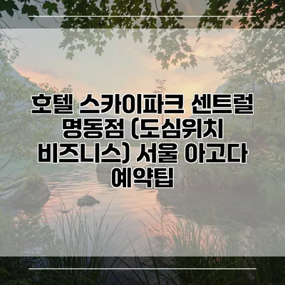 호텔 스카이파크 센트럴 명동점 (도심위치 비즈니스) 서울 아고다 예약팁