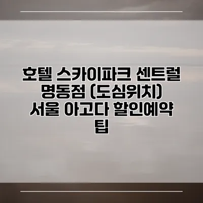 호텔 스카이파크 센트럴 명동점 (도심위치) 서울 아고다 할인예약 팁
