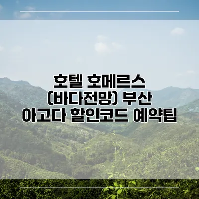 호텔 호메르스 (바다전망) 부산 아고다 할인코드 예약팁